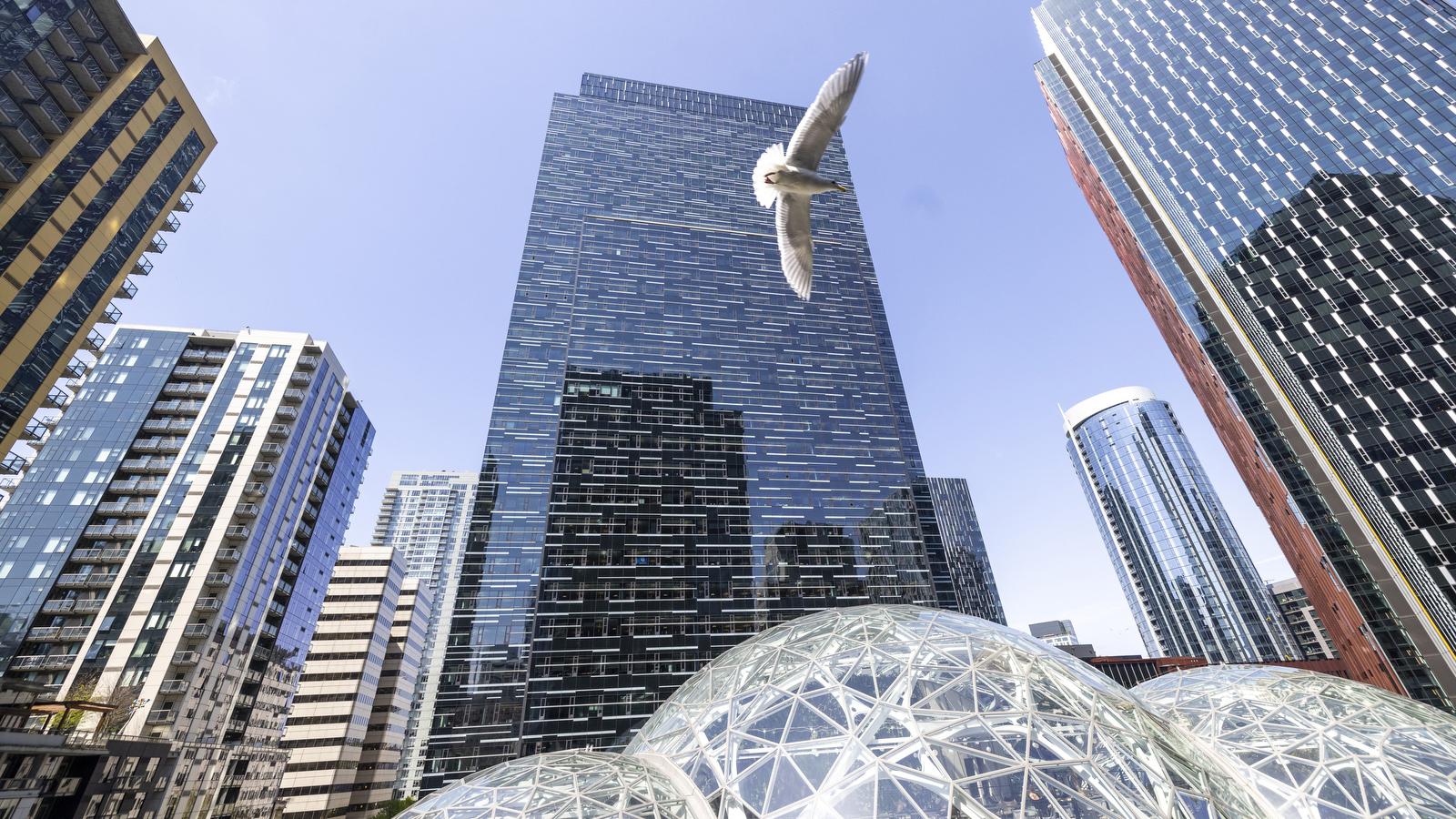 amazon-seattle-office-headquarters.jpeg